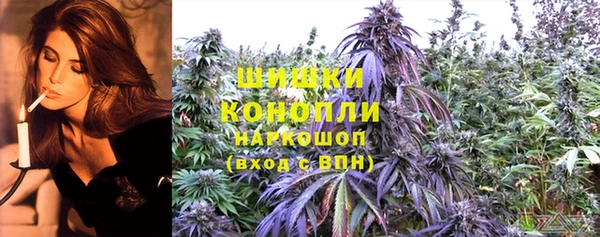 PSILOCYBIN Аркадак