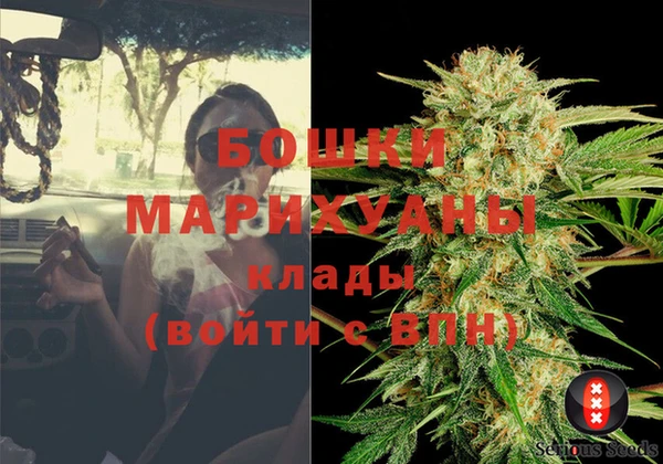 PSILOCYBIN Аркадак