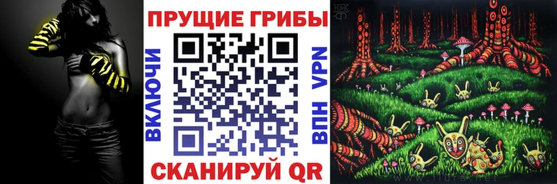 KRAKEN сайт  Электрогорск  Псилоцибиновые грибы Magic Shrooms 