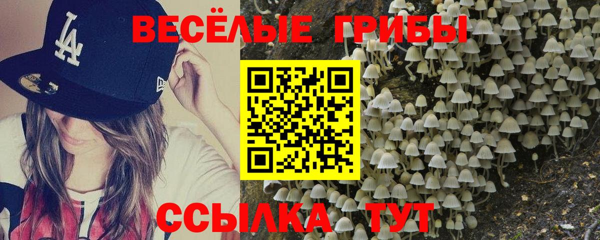 Галлюциногенные грибы прущие грибы Электрогорск