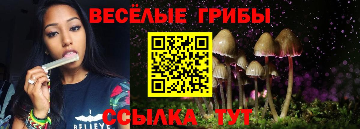 Псилоцибиновые грибы мицелий  Вход с VPN  наркотики  Электрогорск  Галлюциногенные грибы GOLDEN TEACHER 