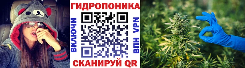 Марихуана Bruce Banner  Электрогорск 